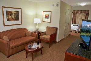 Hotel Hilton Garden Midtown